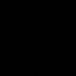 Meet your Posher, Rita